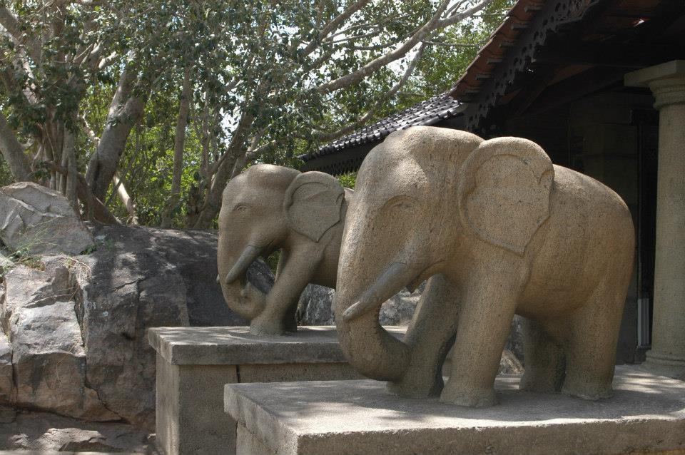 Gartenanlage, Forest Rock Garden Resort Anuradhapura, Sri Lanka Reise