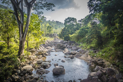 Fluss im Knuckles Nationalpark, Sri Lanka Reisen, Natur 