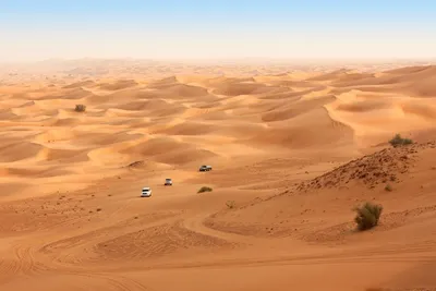 Fahrt zum Wüstencamp, Vereinigte Arabische Emirate, Sri Lanka und Dubai Reise