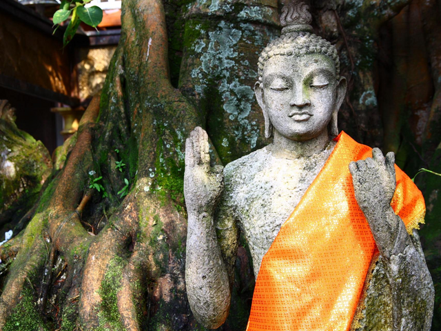 Yoga, Entspannung und Themenreise nach Sri Lanka, Vielfalt, Ruhe