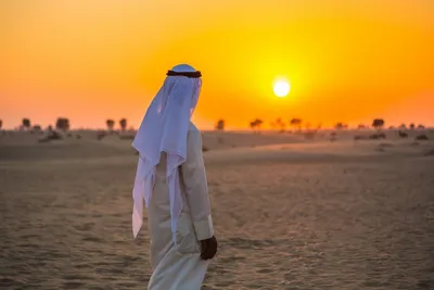Wüstenabenteuer, Vereinigte Arabische Emirate, Sri Lanka und Dubai Reise