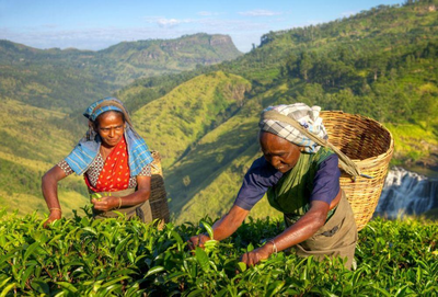 Nuwara Eliya, Sri Lanka Malediven Reise
