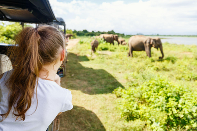 Jeep Safari, Sri Lanka Reisen