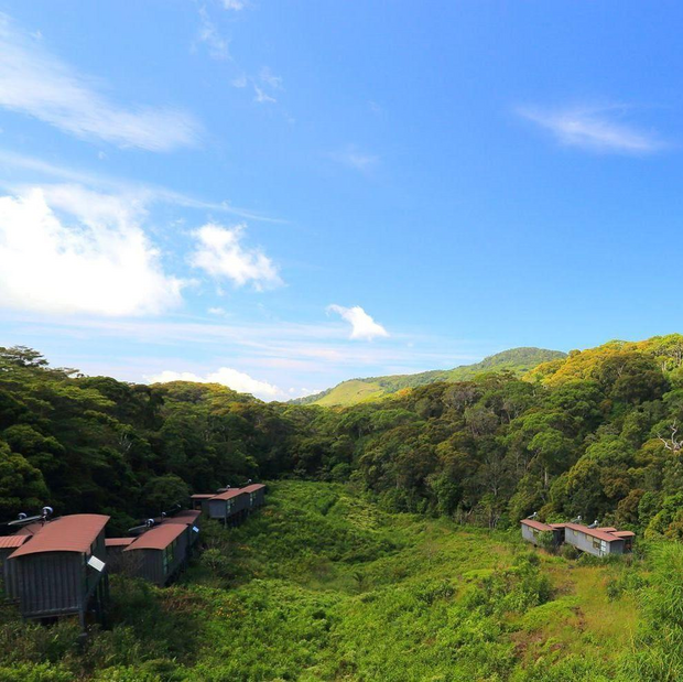 Willkommen in der Rainforest Ecolodge,Sinharaja , Sri Lanka Reise