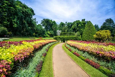 Botanischer Garten, Peradeniya, Sri Lanka und Dubai Reise