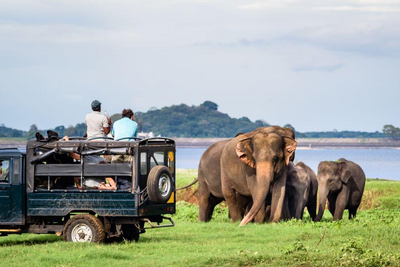Safari im Yala Nationalpark, Sri Lanka Malediven Reise