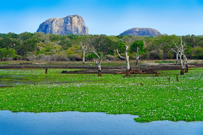 See im Yala Nationalpark, Sri Lanka Rundreise