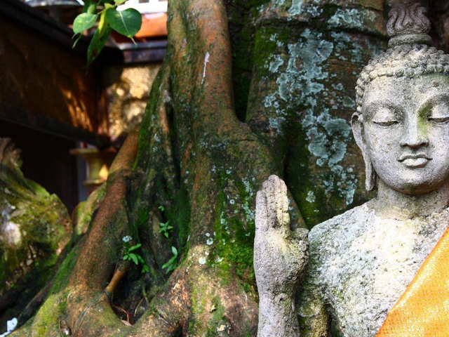 Buddha Statue in Colombo, Sri Lanka Reisen