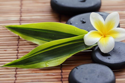Sri Lanka Ayurveda Reise, Plumeria